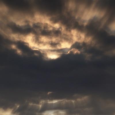 开元棋脾官方网站